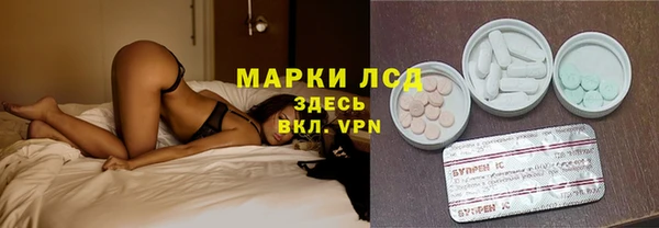 молекула духа Бородино
