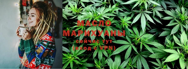 молекула духа Бородино