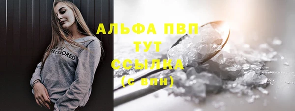 молекула духа Бородино