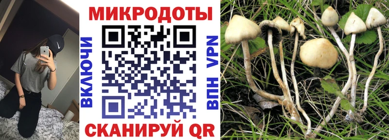 Галлюциногенные грибы мухоморы где купить наркоту Яранск